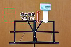 snb1_1