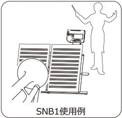 snb1_exam