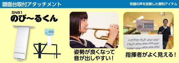 FlexSlider_SNB1